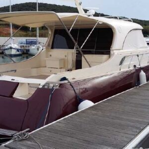 DOLPHIN 51